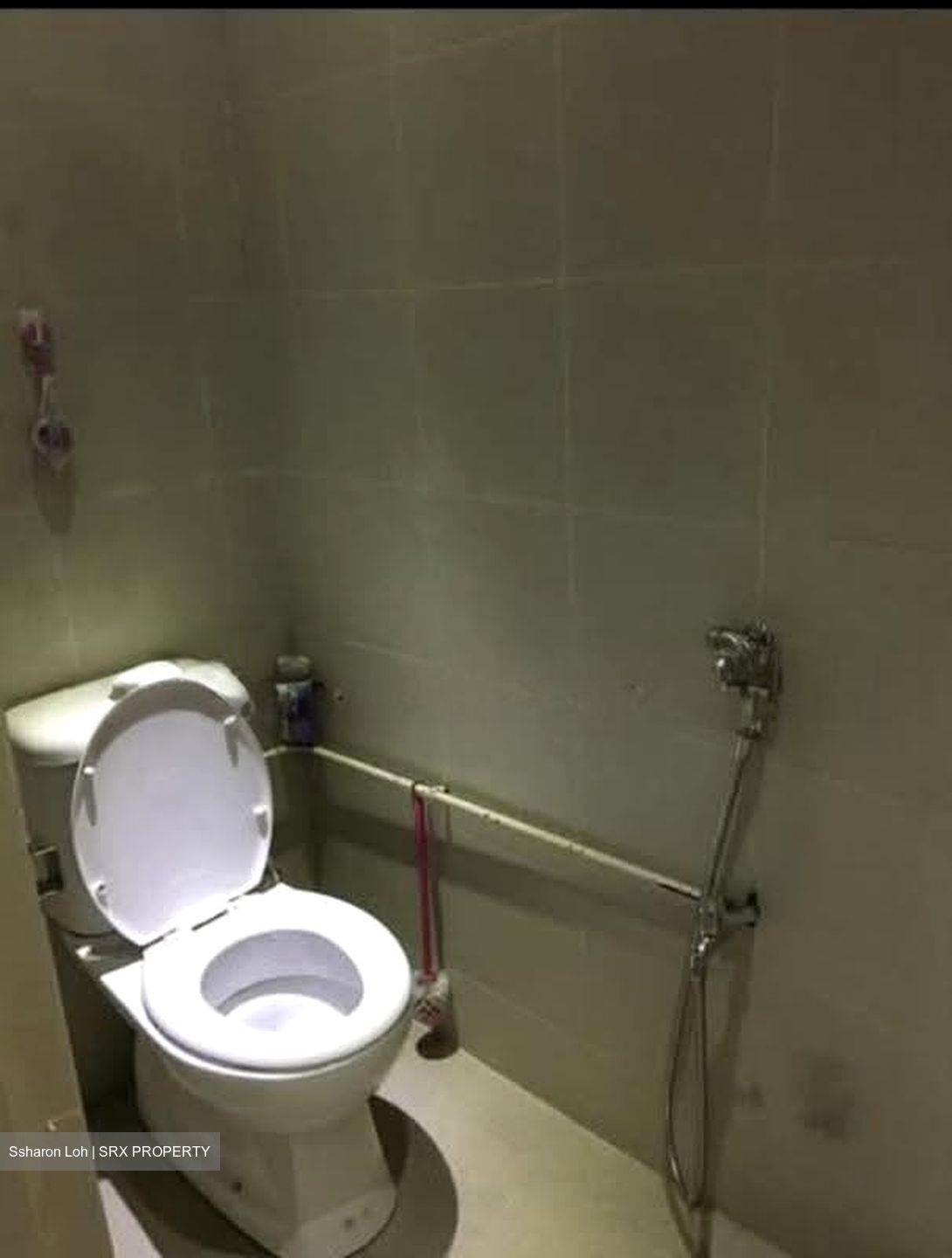 Balestier Point (D12), Shop House #613755701